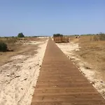 Sandburg * شيلينغ