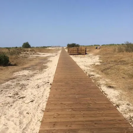 Sandburg * Шиллиг
